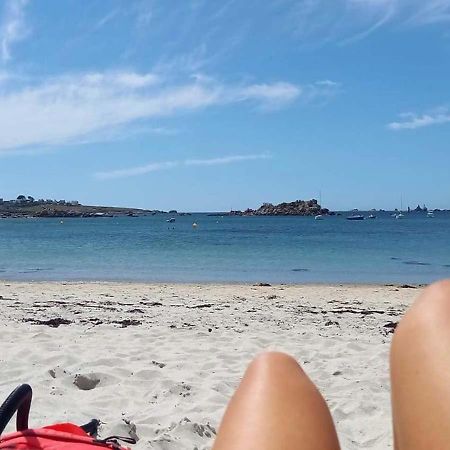 Les Portsallaises Piscine Ou Spa A 300M De La Plage Ploudalmézeau Екстериор снимка